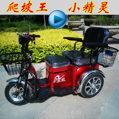 爬坡王电动三轮车电动车休闲代步车单人双人残疾人电瓶成人助力车