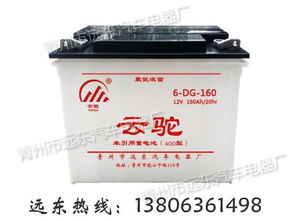 电动三轮车蓄电池供应 青州市远东汽车电器厂 电动三轮车蓄电池 ,电动三路车电瓶